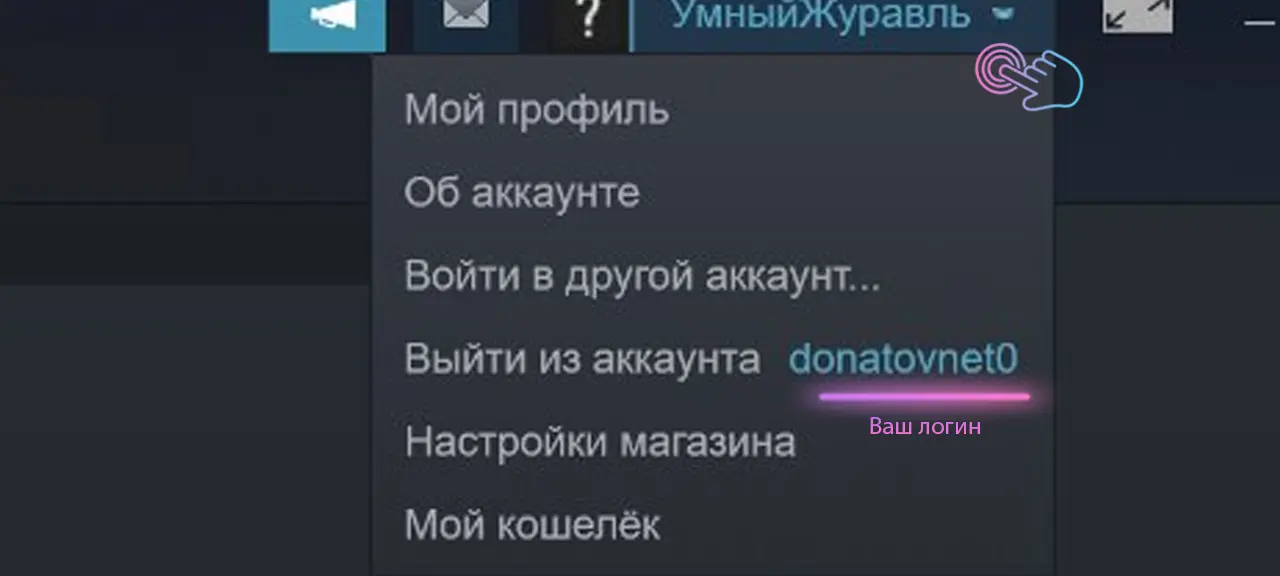 Где находится логин Стим